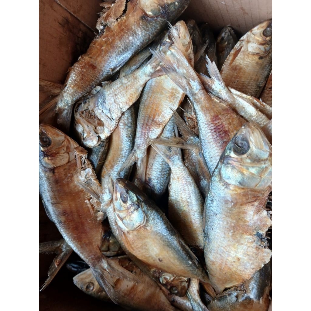 Ikan Asin Belo 250gr