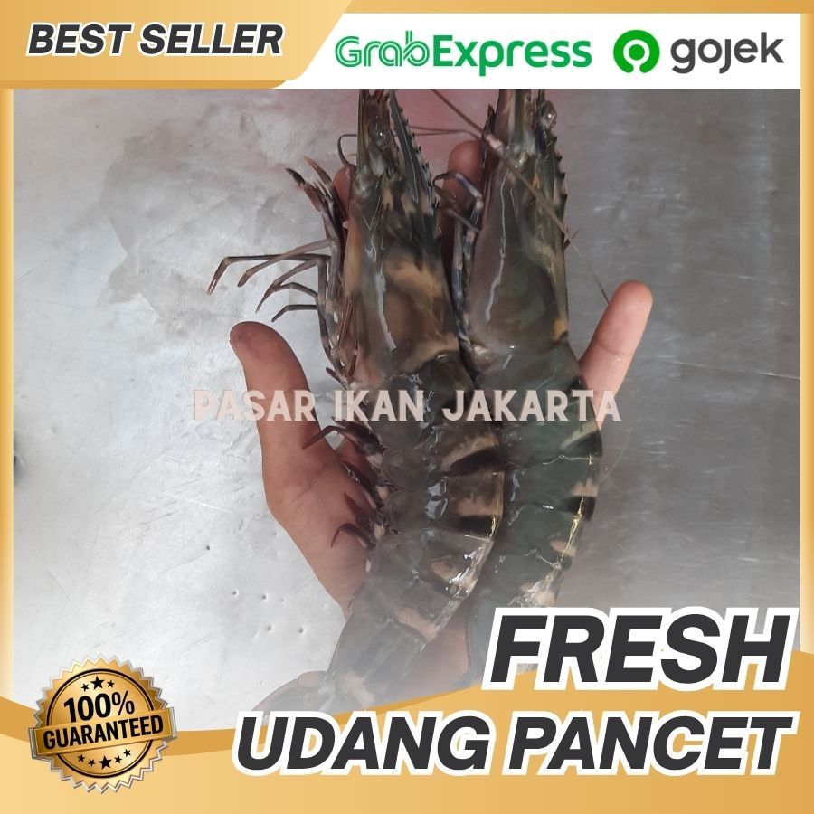 PROMO udang pancet besar ak 10 (1kg isi 10-12 Ekor) / udang windu / udang segar murah | Udang tiger 
