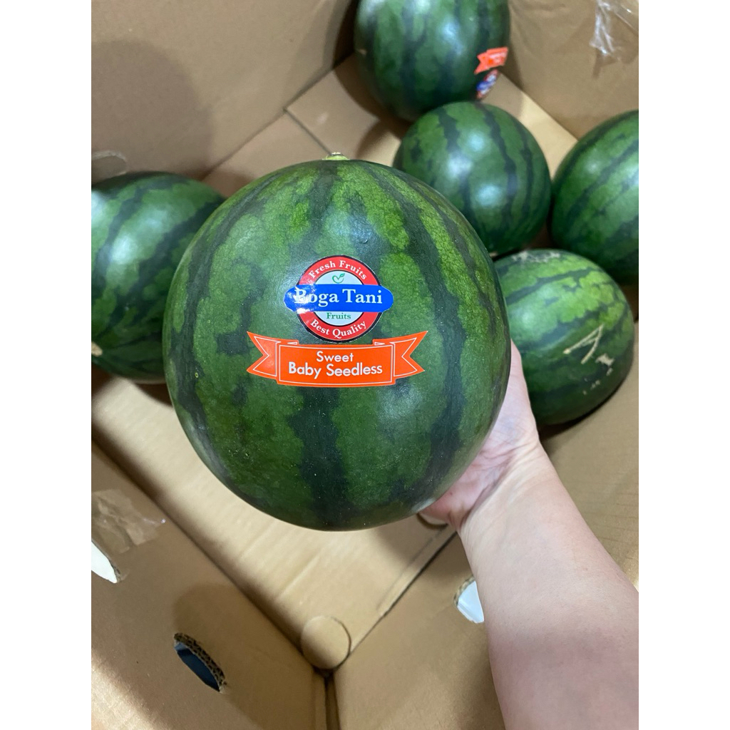 SEMANGKA BABY SEMANGKA MERAH MANIS BANYAK AIR SEEDLESS (biji dikit)