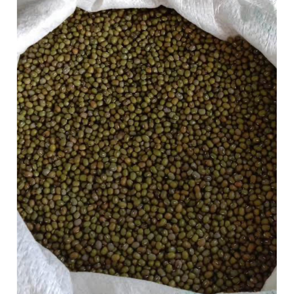 Kacang Hijau Birma Kacang Ijo Birma - Kacang Hijau Import Kualitas Super
