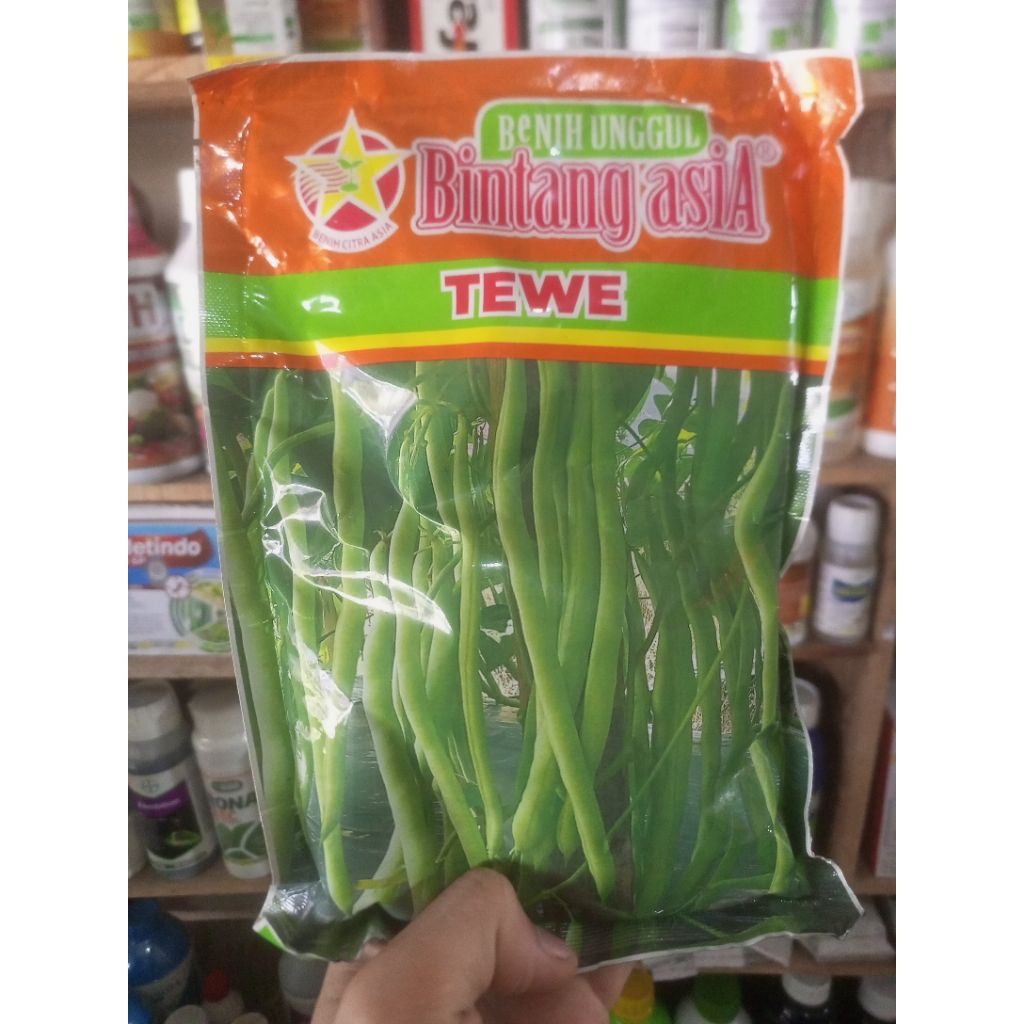 Benih buncis TEWE F1 500 gram ( lalapan buncis )