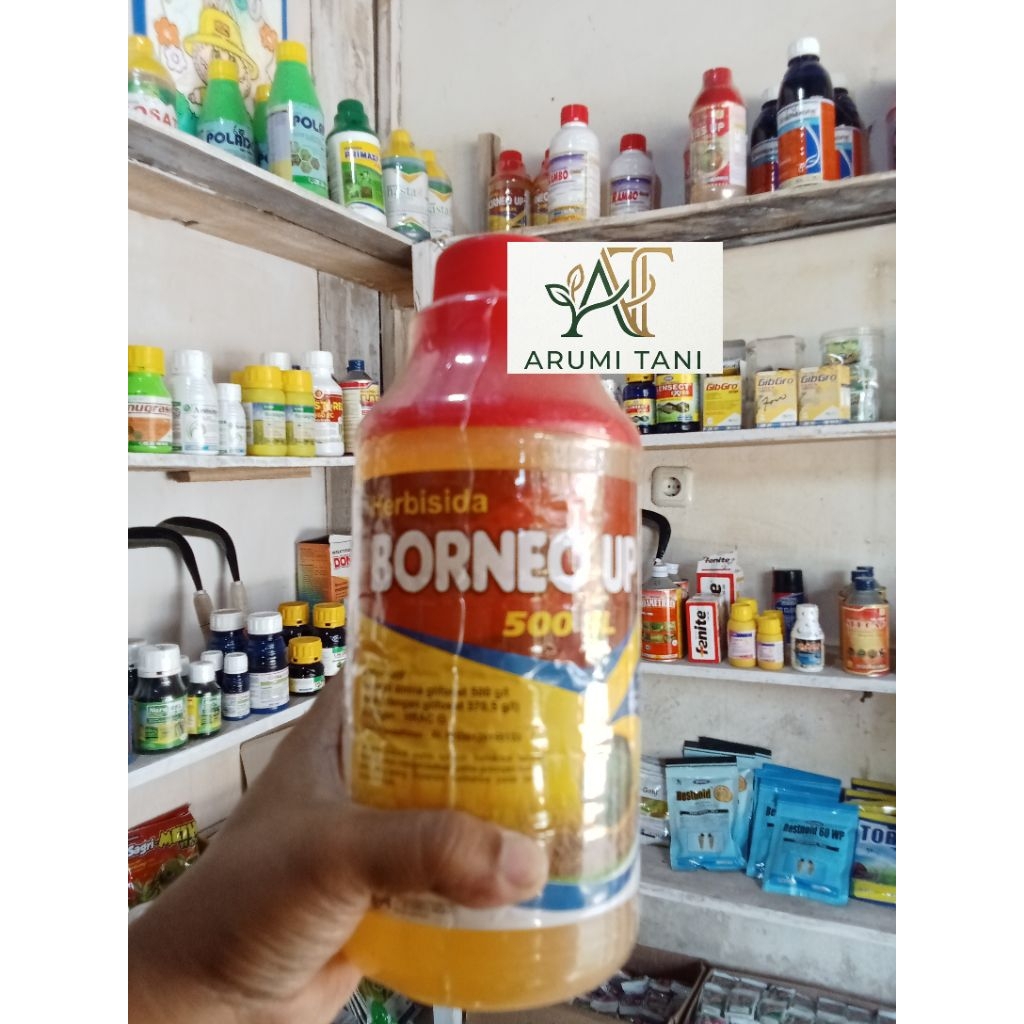 BORNEO UP 500 SL isi 1 liter