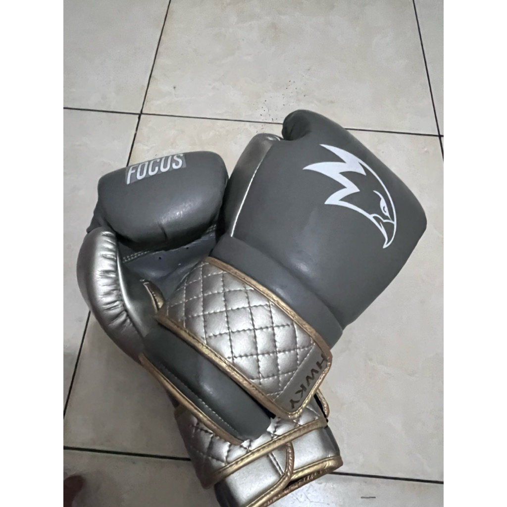 Hawkeye Focus Boxing Gloves 12 OZ