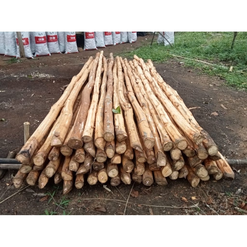 Dolken kayu keras/kayu Puspa ukuran bulatan 8up