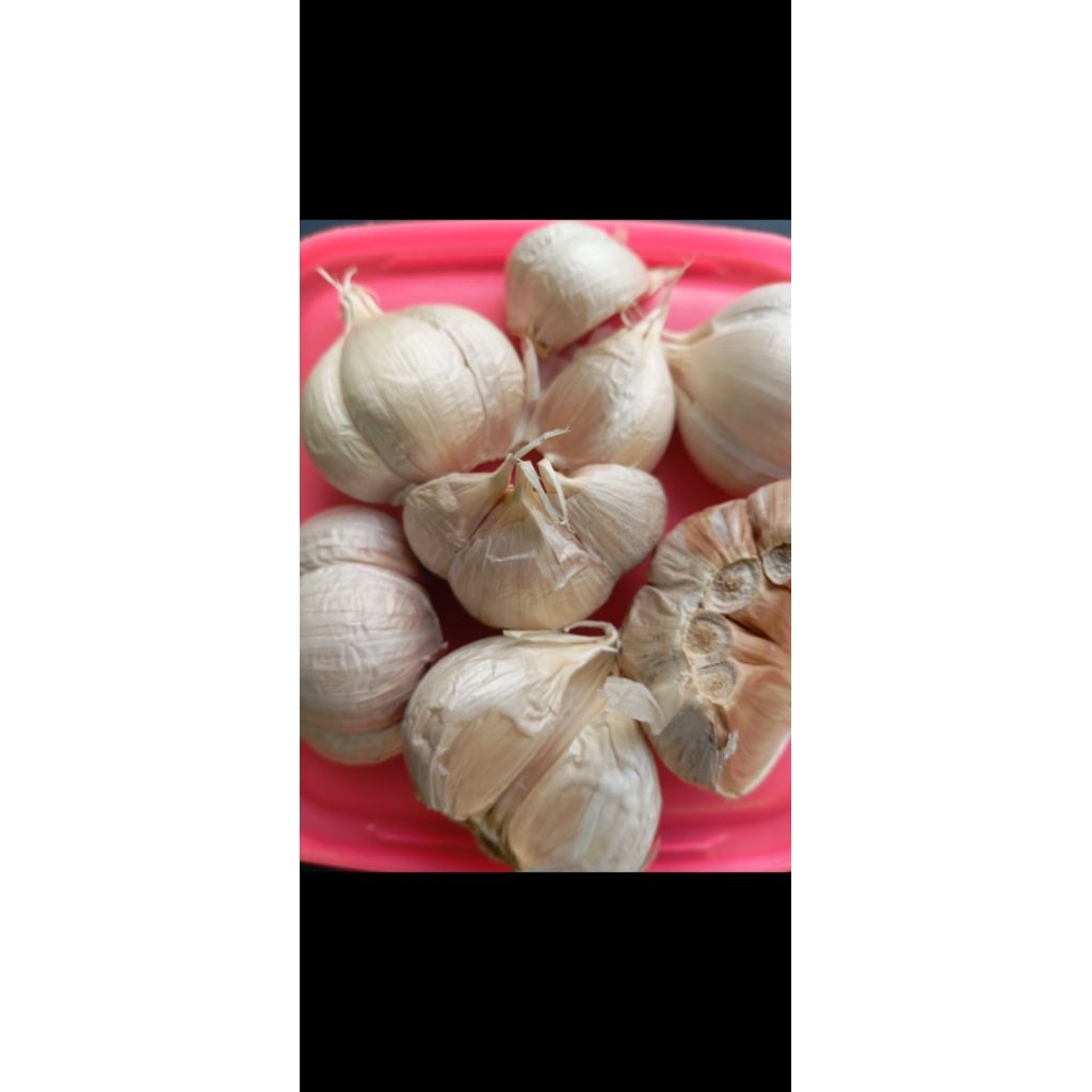 Bawang Putih Kating 1kg - bawang kating bersih