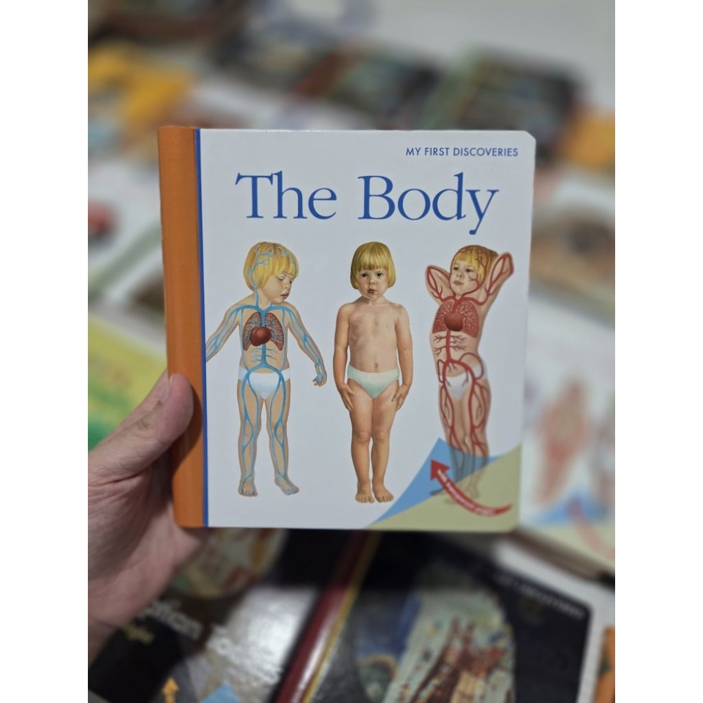 MFD The Body