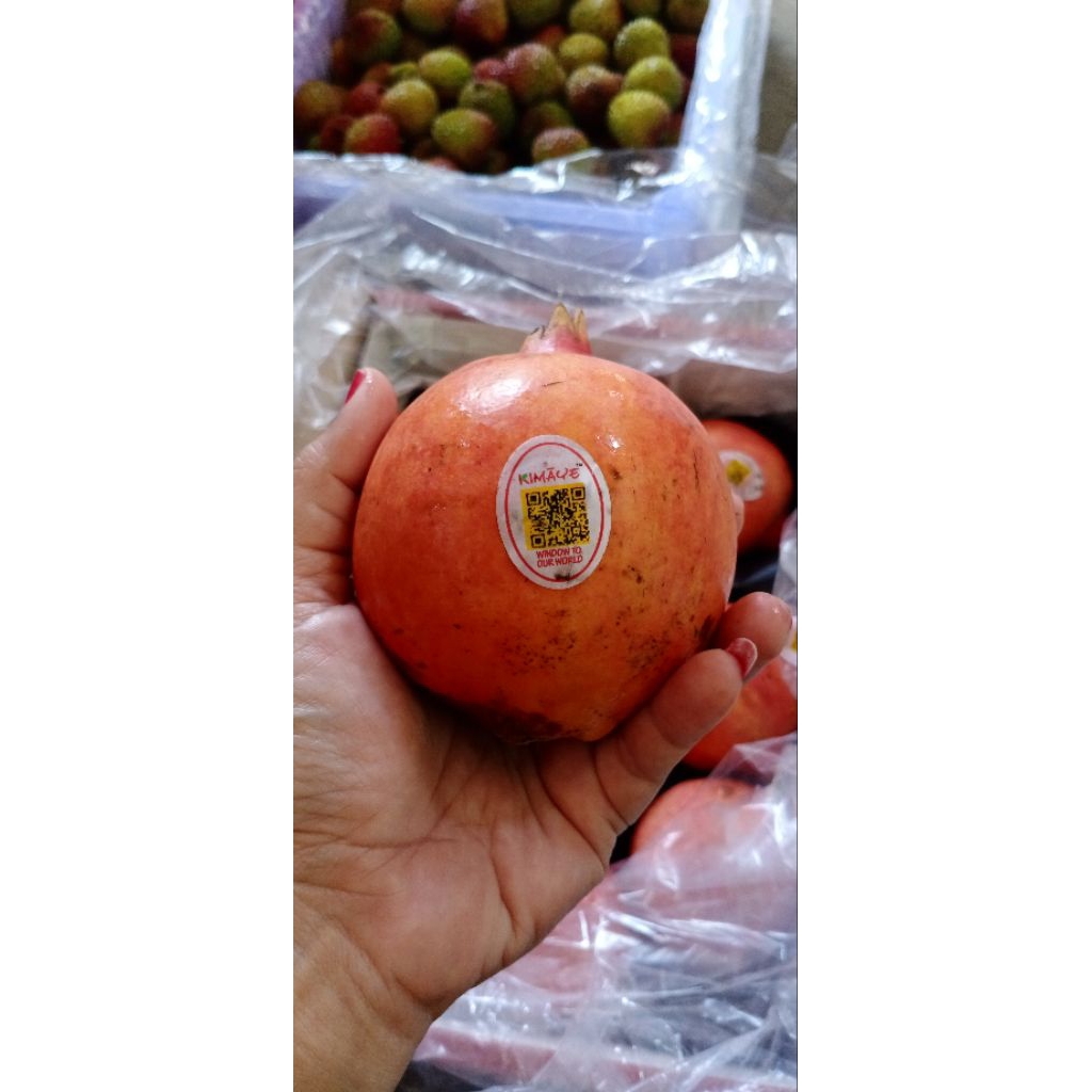 Delima merah mesir