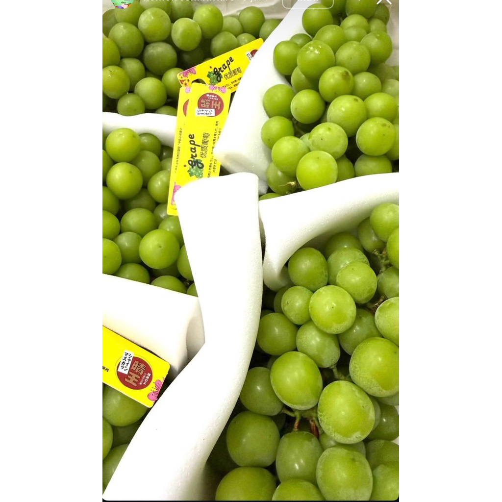 Anggur shine muscat curah