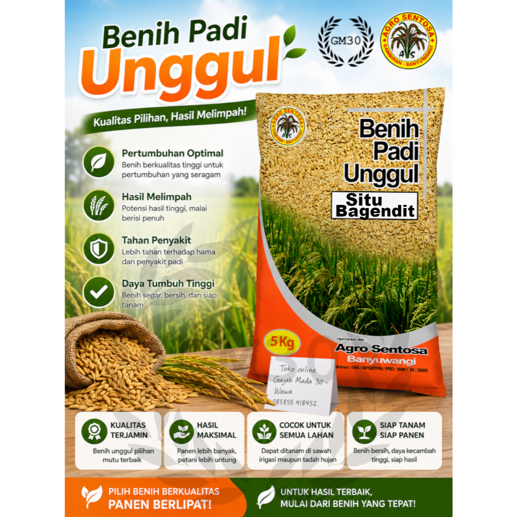 VARIETAS SITU BAGENDIT BENIH PADI UNGGUL PREMIUM KEMASAN 5 KG