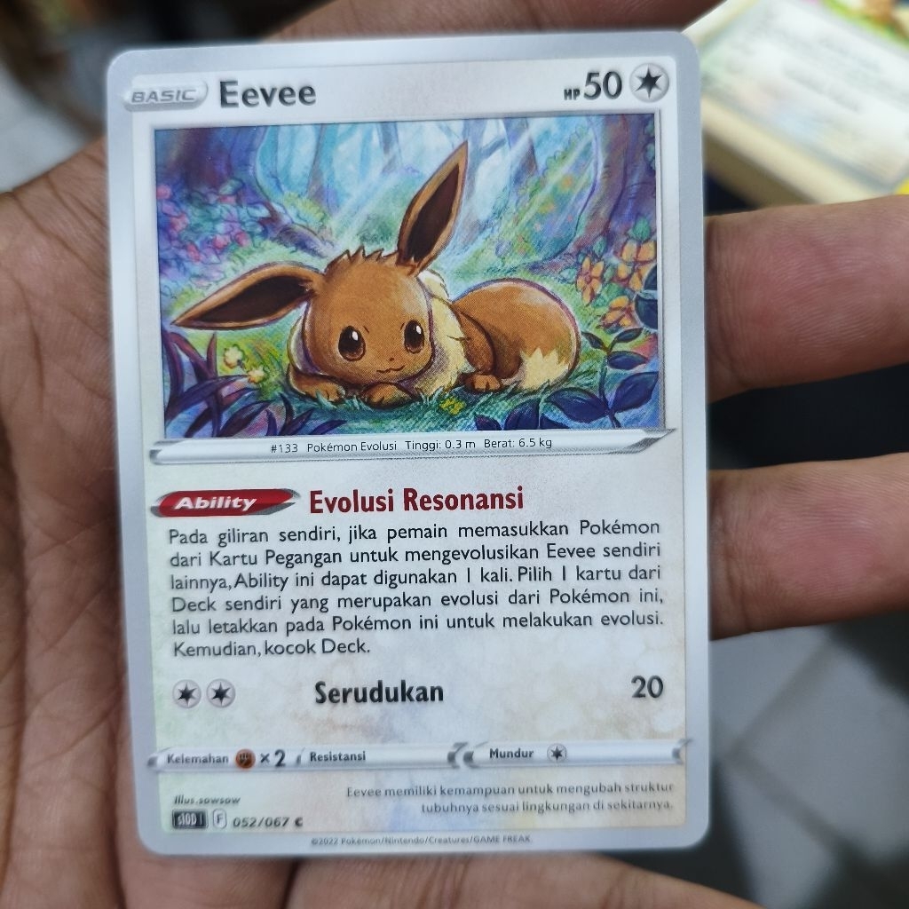 eevee tcg pokemon / kartu pokemon