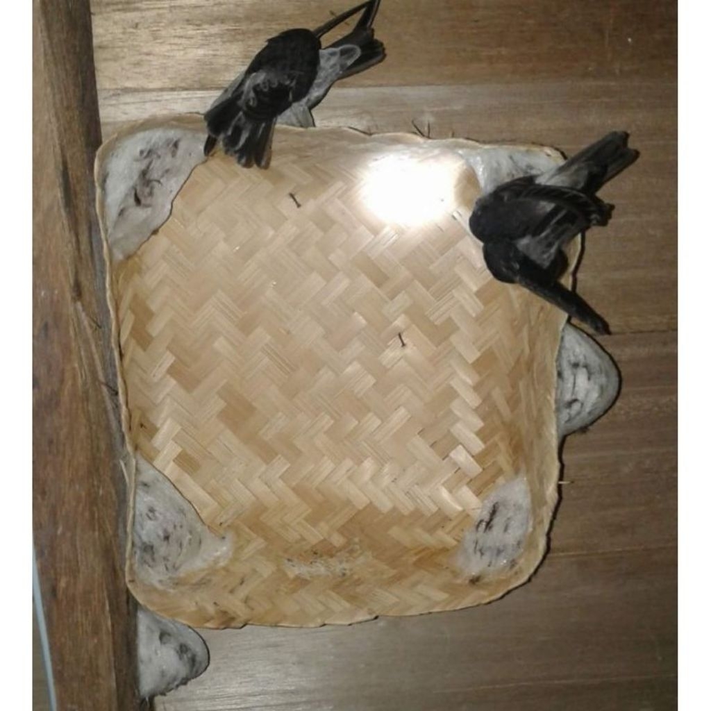 Besek bakul walet 25 x 25cm /50biji