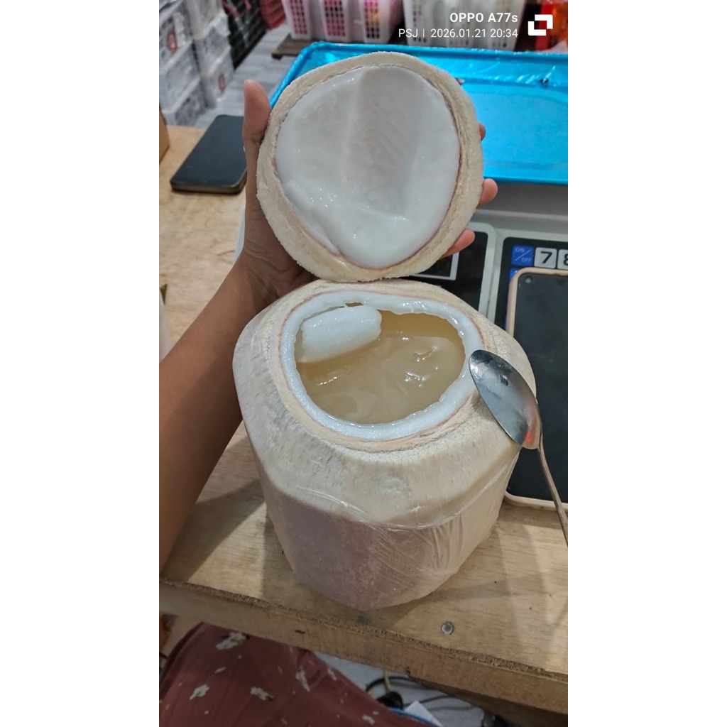 BUAH KELAPA MUDA JELLY DPT 3