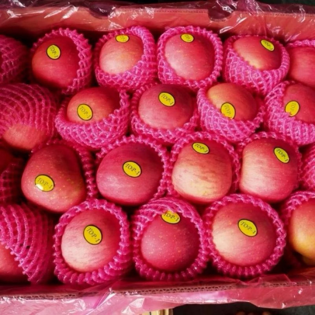 INSTAN SURABAYA BUAH SEGAR