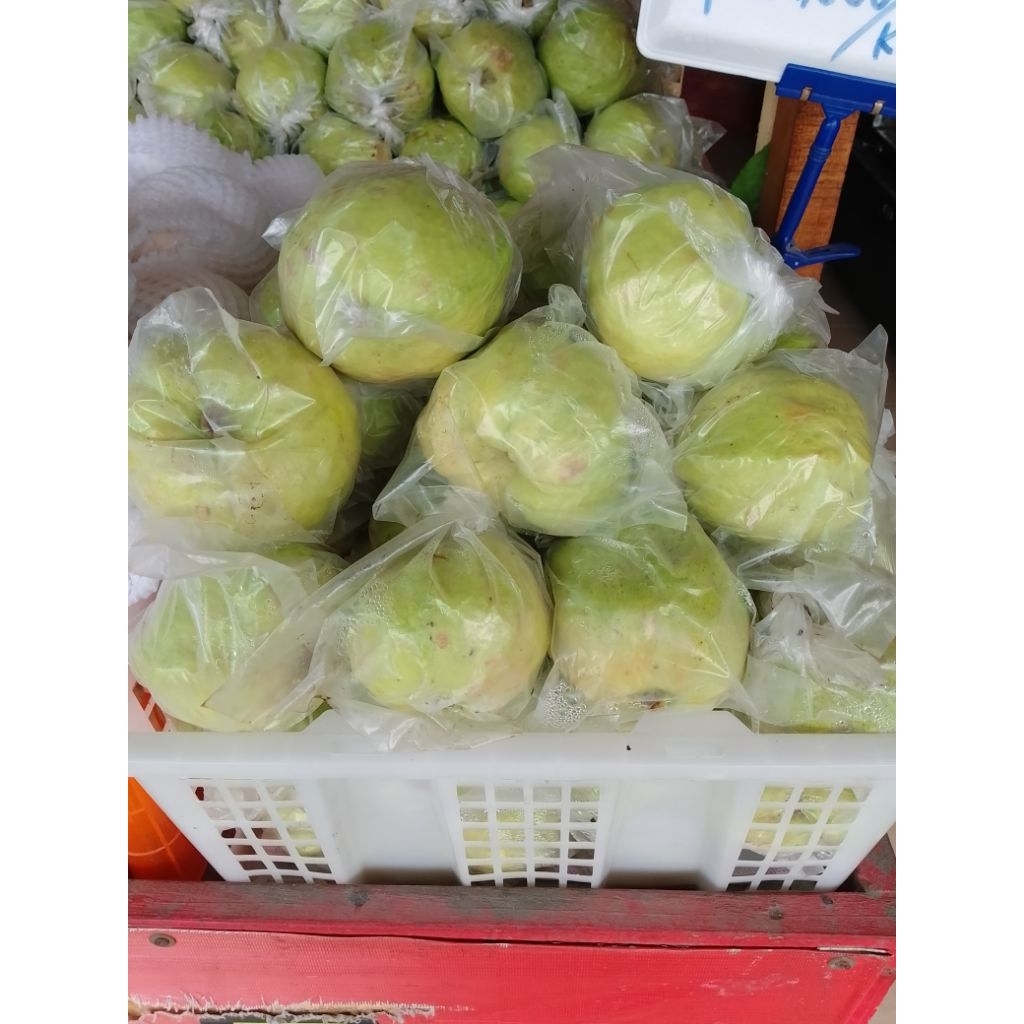 JAMBU KRISTAL | JAMBU RUJAK | KHUSUS INSTAN