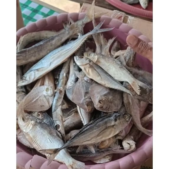 ikan asin campur,ikan asin pedo campur,iwak pedo