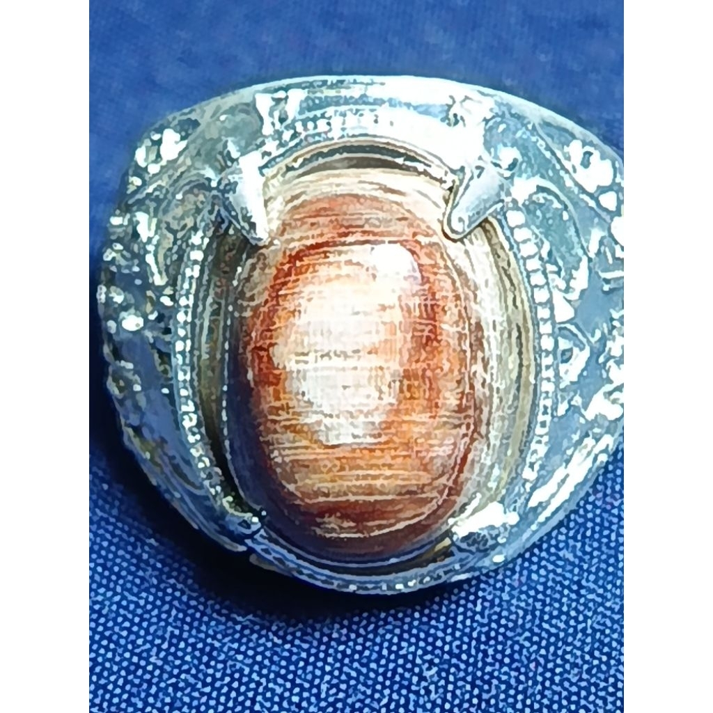 Natural Kelor Petrified Wood, RED, MYSTIC / Batu Fosil Kayu Kelor, MERAH, SAKRAL, PUSER