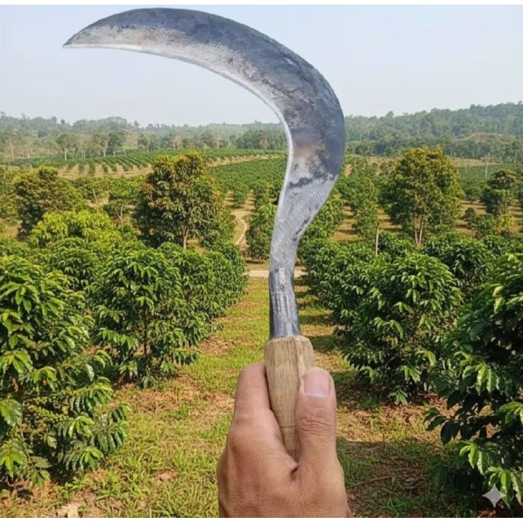 Termurah Alat Pertanian Sabit Rumput Padi Asli Super Tajam