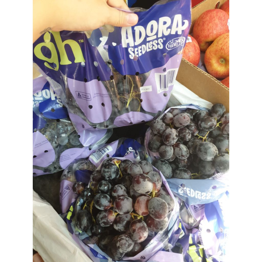ANGGUR HITAM | ANGGUR ROYAL AUTUMN | ANGGUR MIDNIGHT BEAUTY | ANGGUR ADORA | ANGGUR BLACK JOY | ANGG