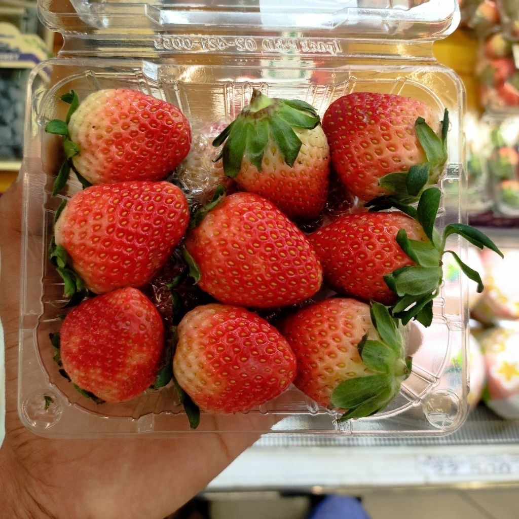 Eloasis Premium Strawberry Korea Maehyang Pack 250gr - Buah Stroberi Impor Segar
