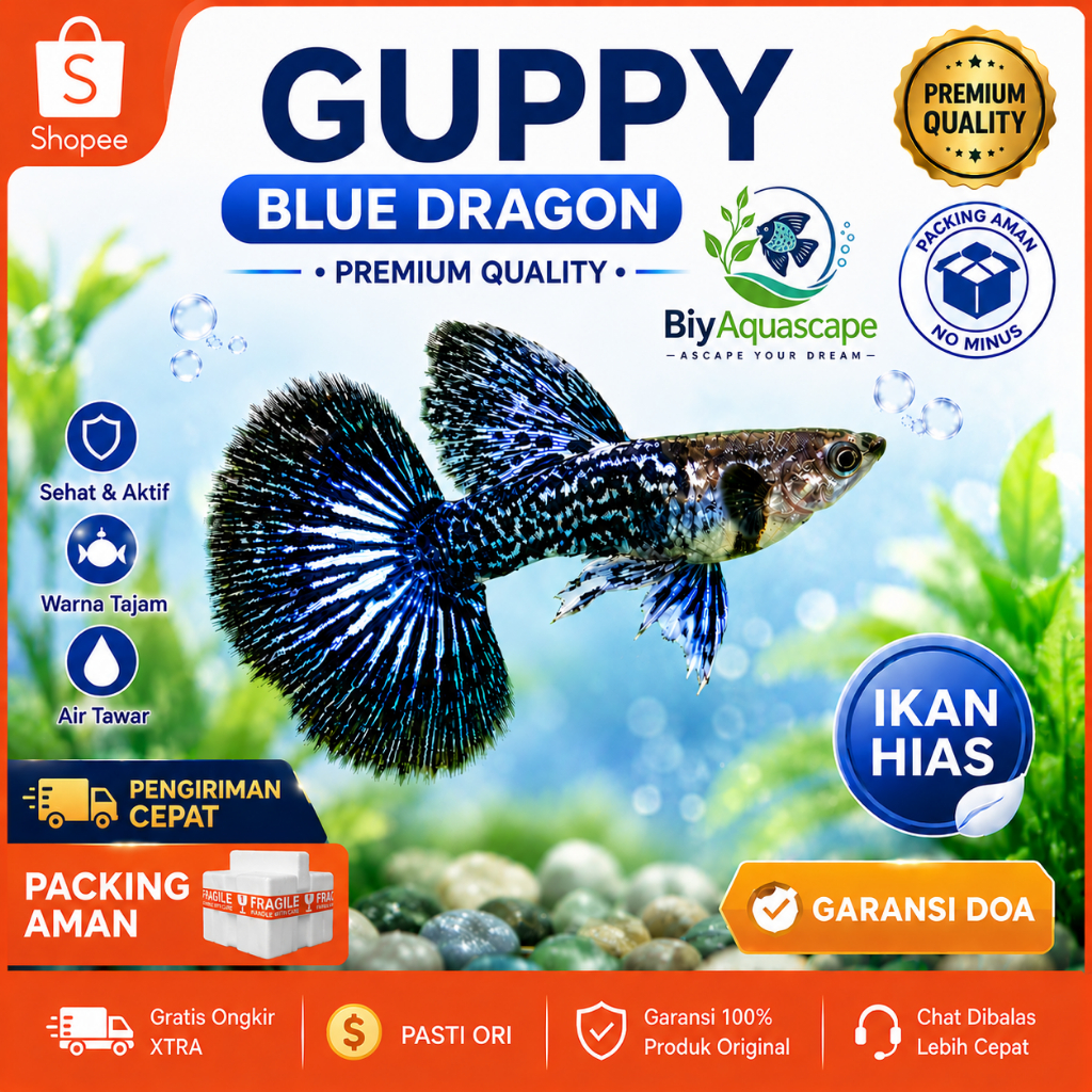 GUPPY BLUE DRAGON / IKAN HIAS GUPPY BLUE DRAGON