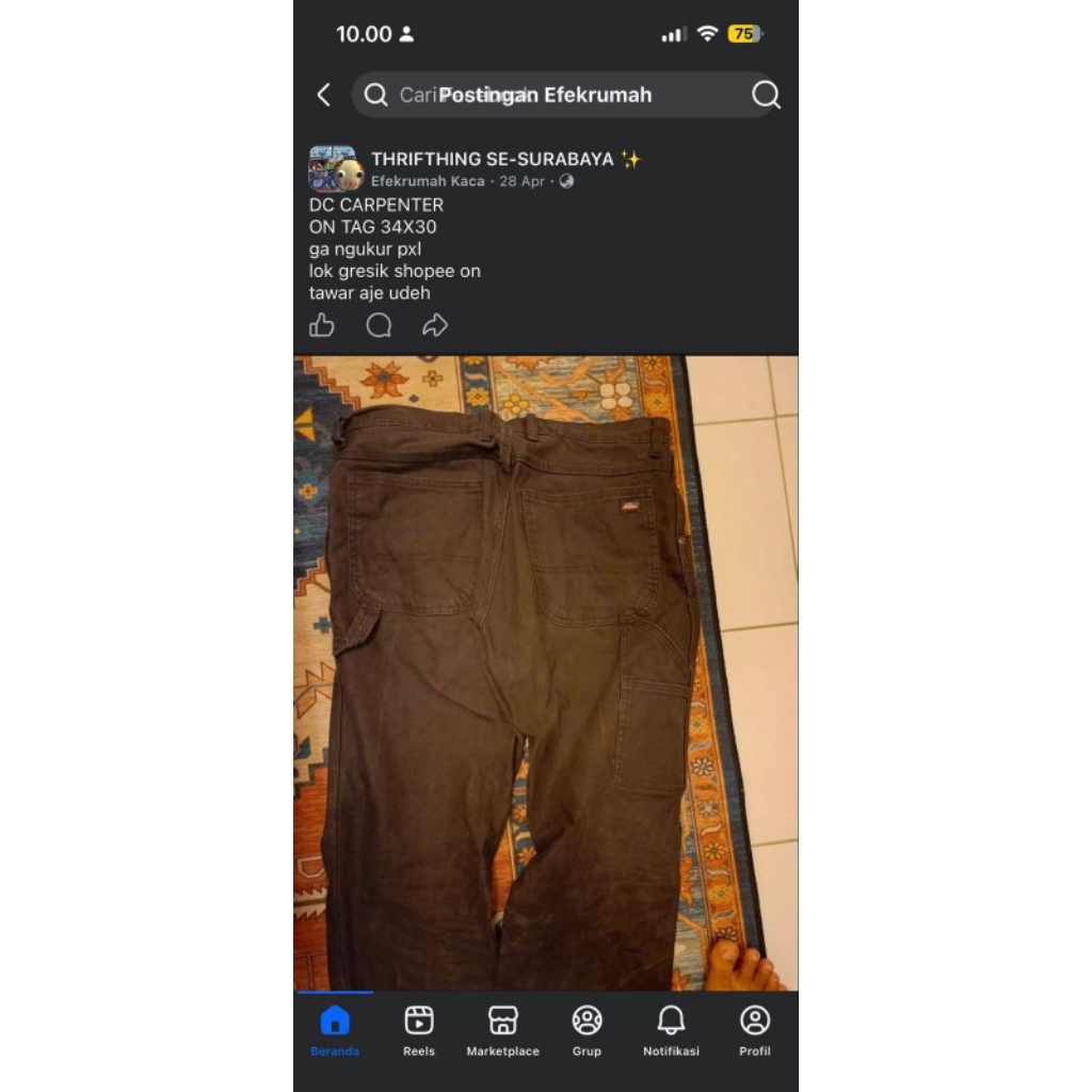 dickies carpenter