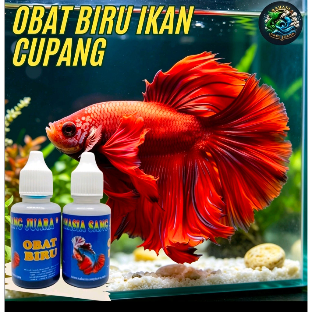 Rahasia Sang Juara Obat Biru Ikan Cupang 30ml