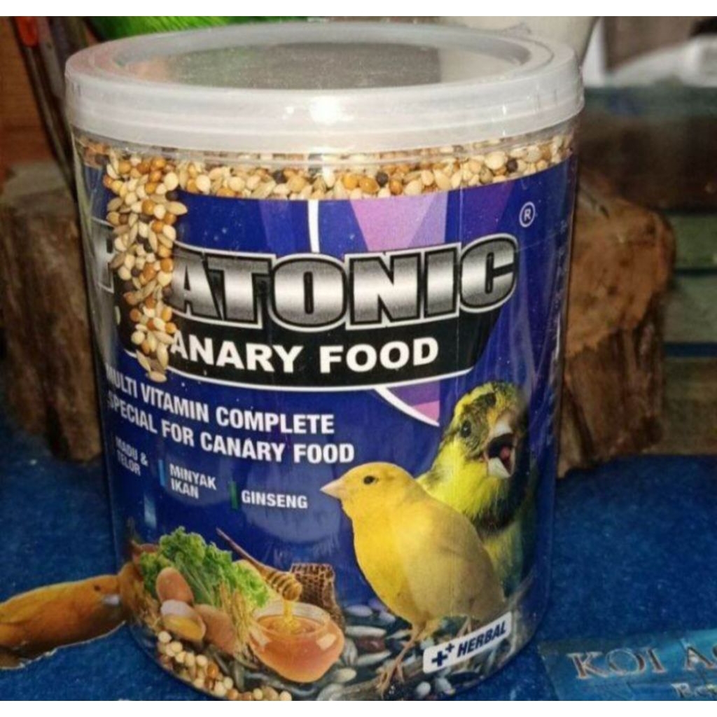 PLATONIC CANARY FOOD