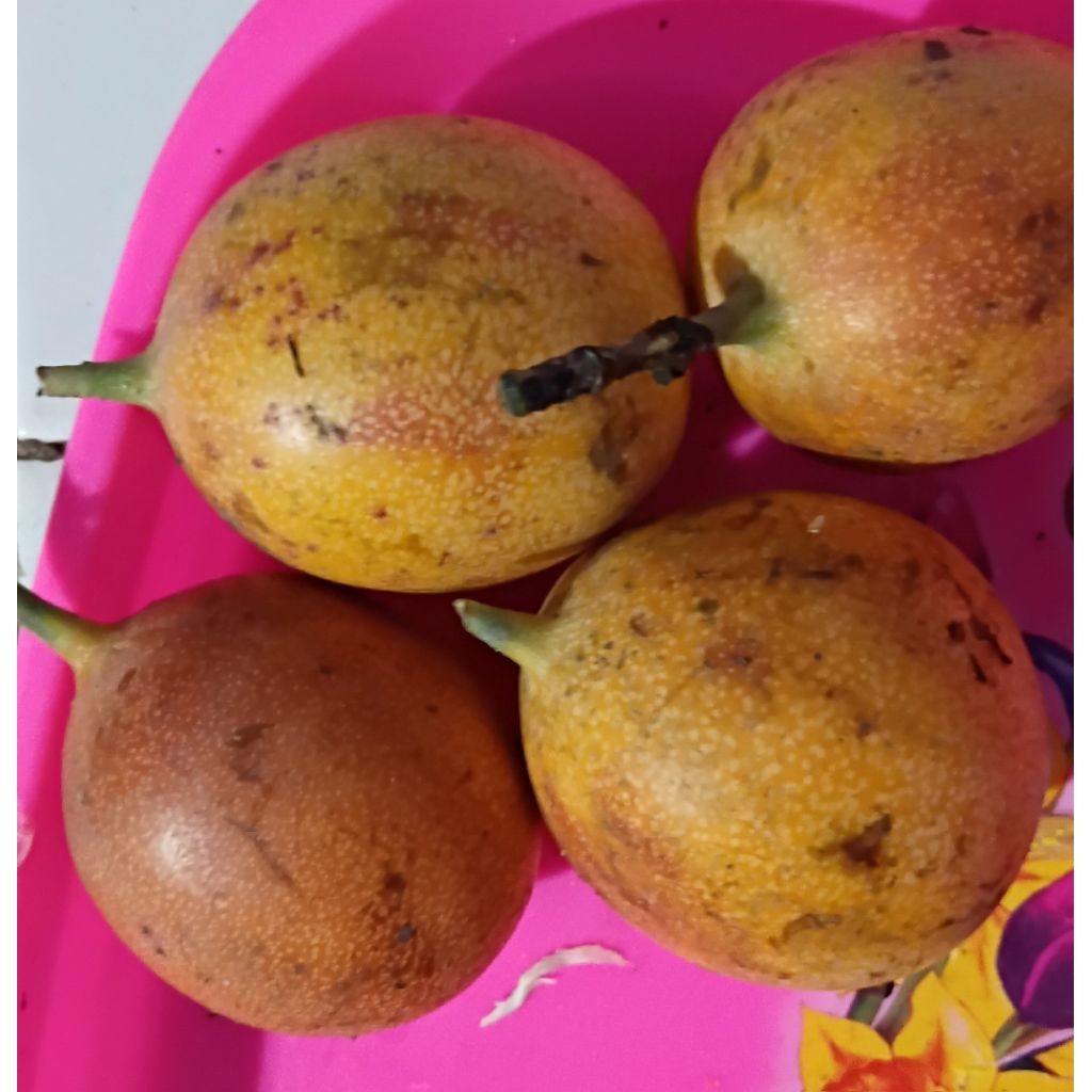 buah konyal/markisa 1kg manis seger