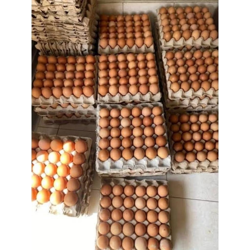 Telur Ayam Negeri 1 KG Segar Fresh Kualitas Terjaga BEKASI