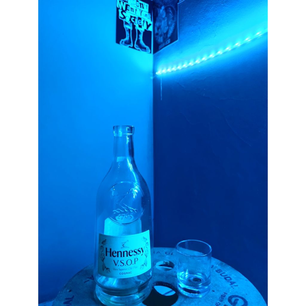 botol bekas minuman import Hennessy vsop| hiasan rumah Free packing aman