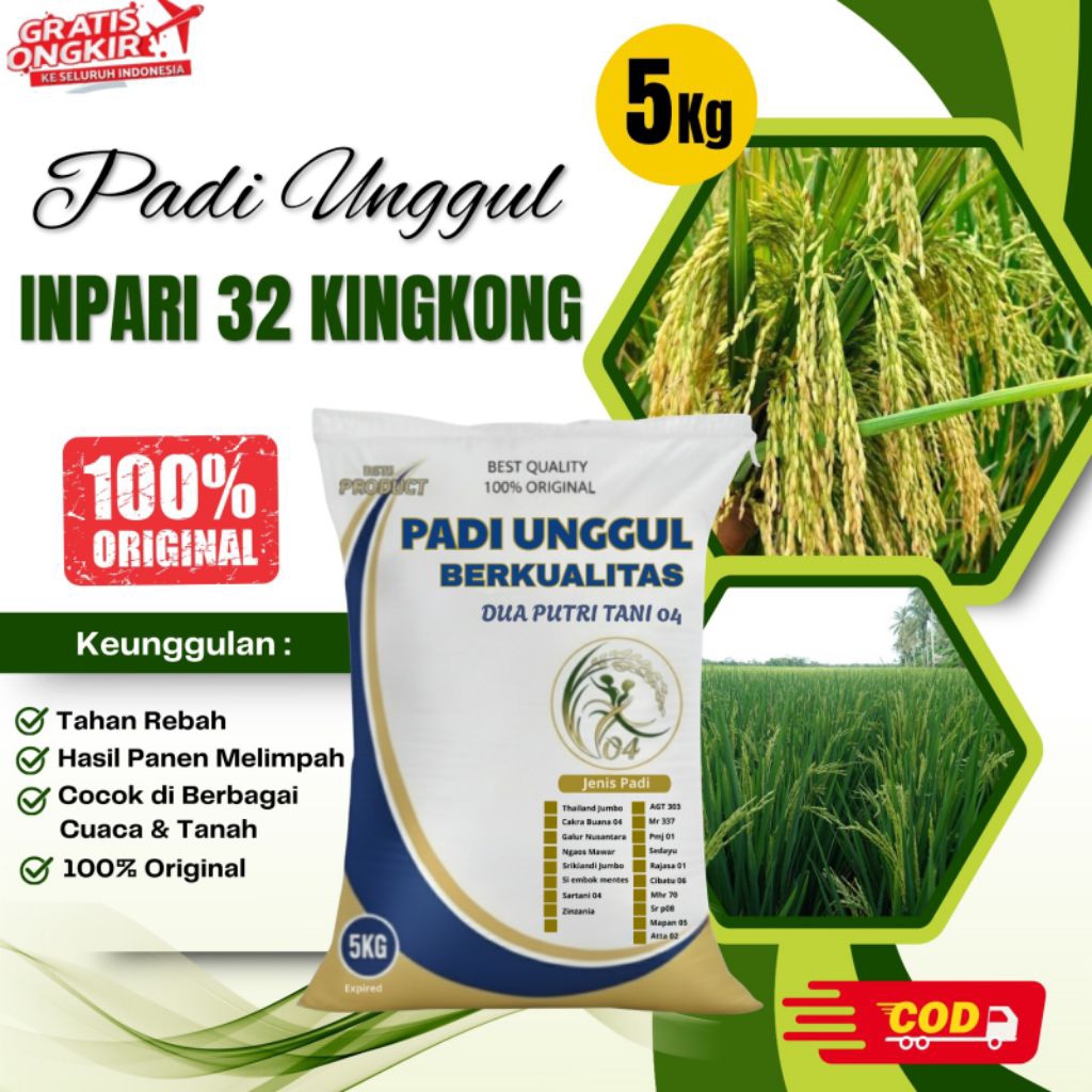 Padi Unggul INPARI 32 KINGKONG Kemasan 5kg