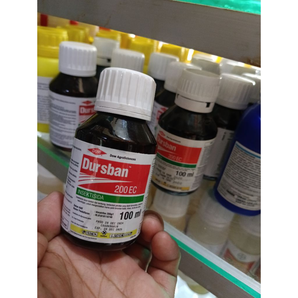 Dursban 200 EC - 100 ml
