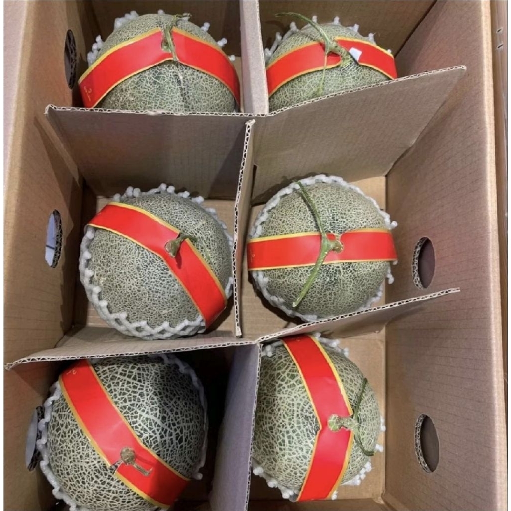 Buah Melon Jepang Orange Sweet / Melon Jepang Manis 1 Pcs