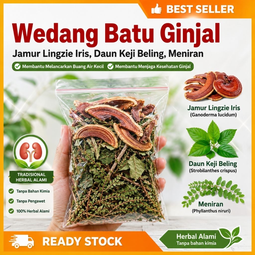 Paket 30 Hari Teh Herbal Jamur Lingzhi Keji Beling Meniran Alami