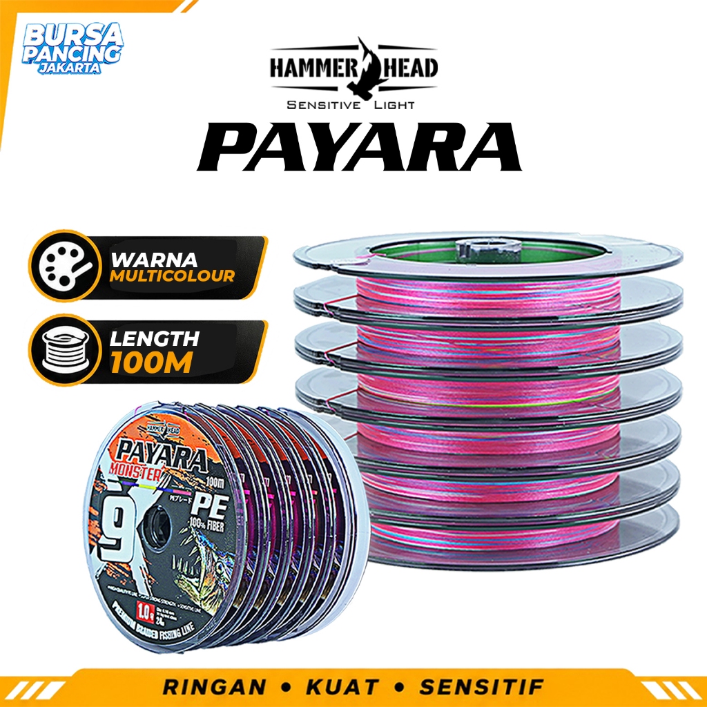 Senar PE HAMMER HEAD PAYARA MONSTER X9 100M Multi Color 100% PE Fiber Connecting Super Kuat