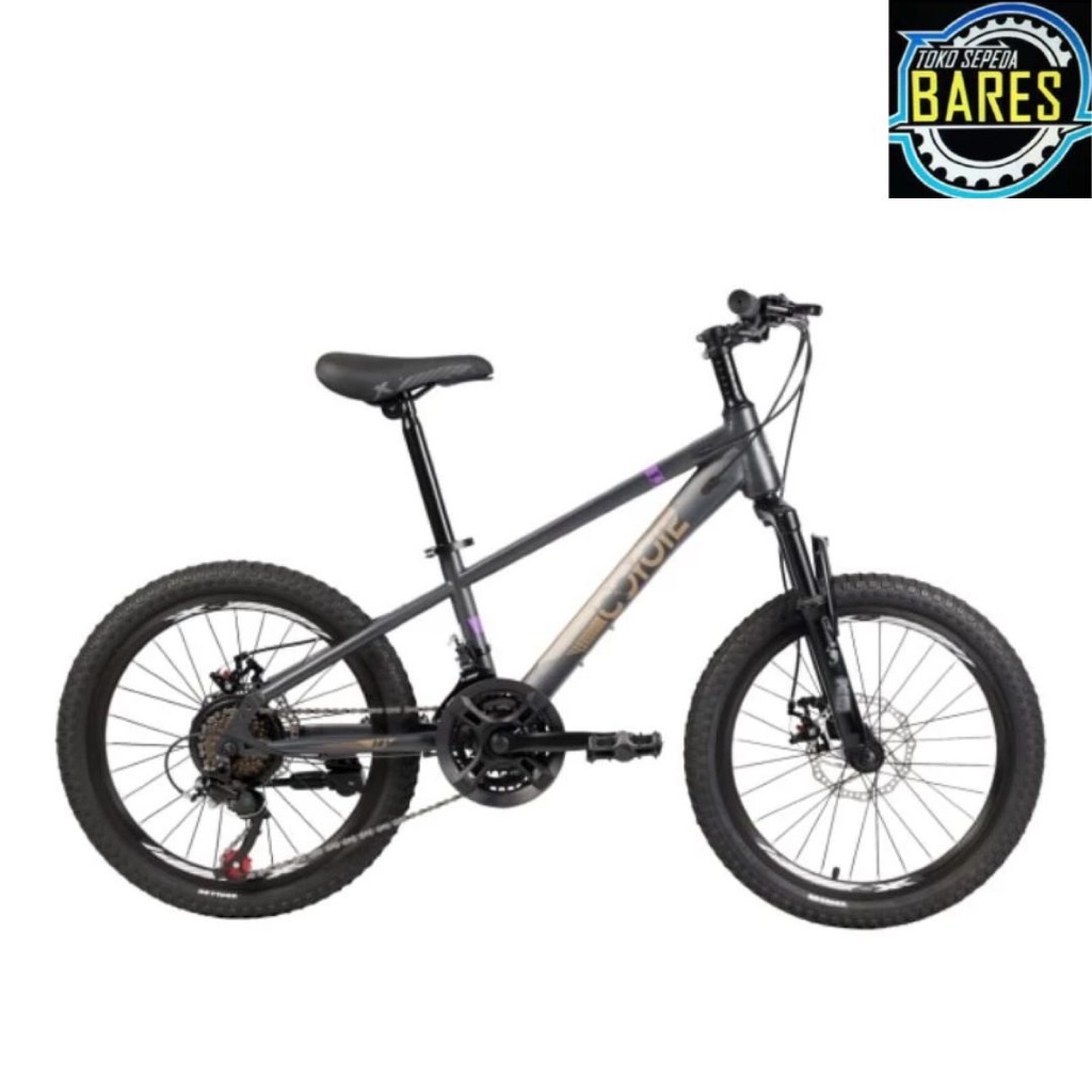 Sepeda Gunung / Sepeda MTB Anak 20 Element Coyote