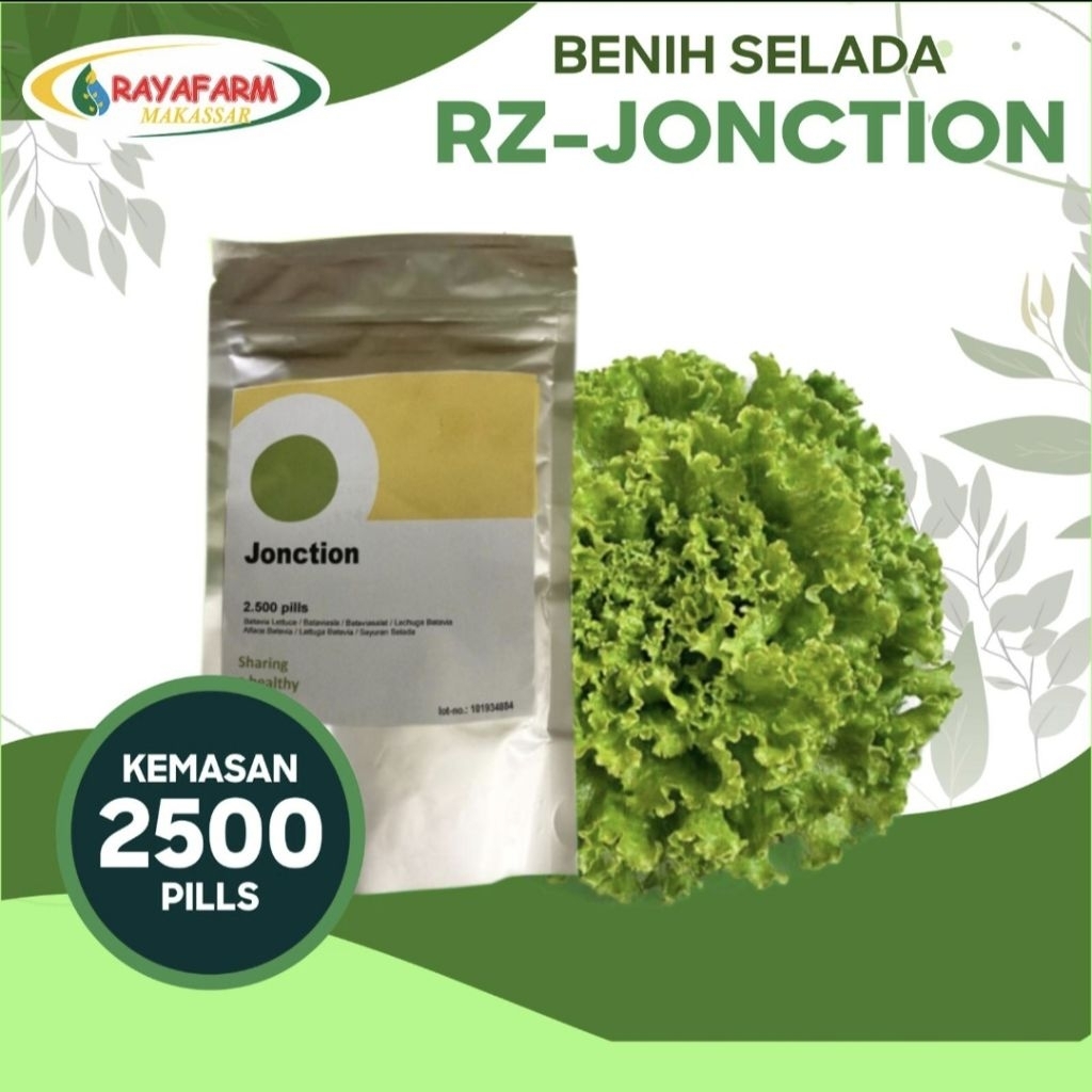 Benih Selada Junction 2500 pill - RZ
