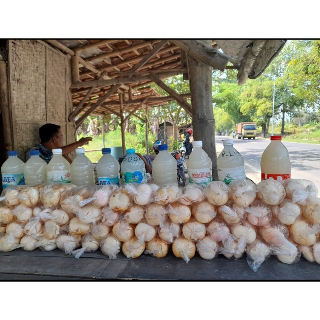 Buah Lontar Atau Siwalan Asli Madura