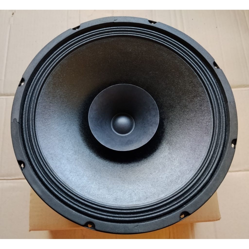 SPEAKER CANON 12 INC FULL RANGE 200W