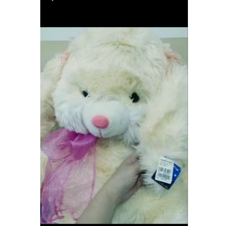 boneka kelinci jumbo premium