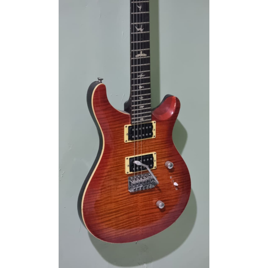 PRS Custom 24 (Custom made)