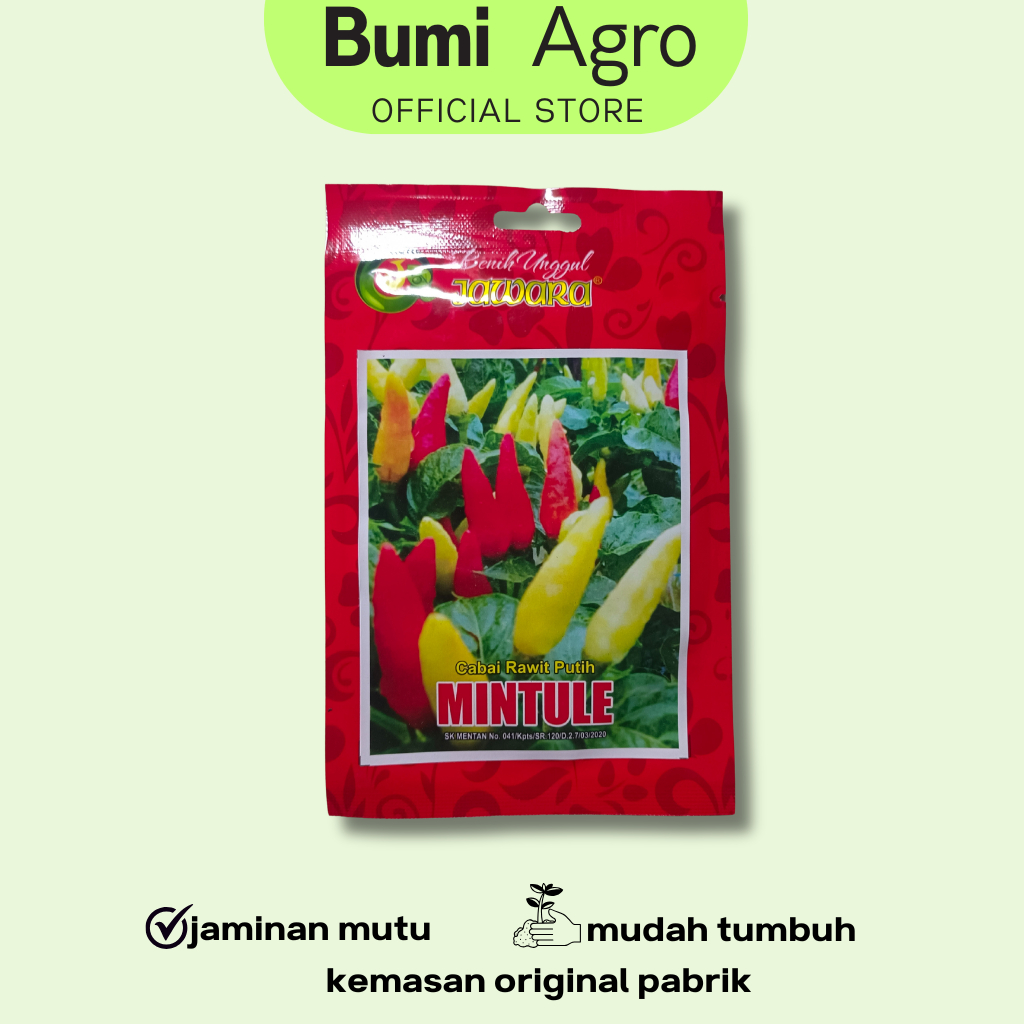 Benih Cabe Rawit 10 gr MINTULE Cap Benih jawara Cabe Setan Unggul Lebat