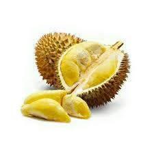 DURIAN MONTHONG UTUH LOKAL