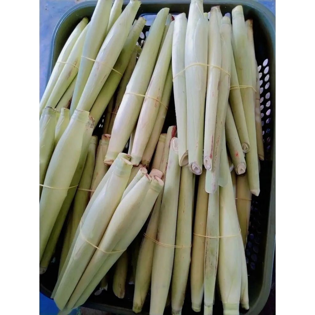 Tebu telur/makanan enak/tebu telur/tebu rasa telur