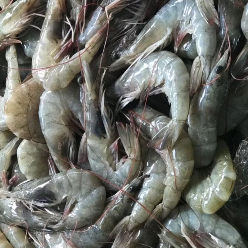Udang Vaname Size 40 | 250gr | 500gr | 1kg
