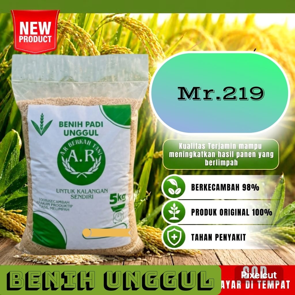 MR 219 BIBIT PADI UNGGUL BENIH PADI BERKUALITAS PREMIUM KEMASAN 5KG