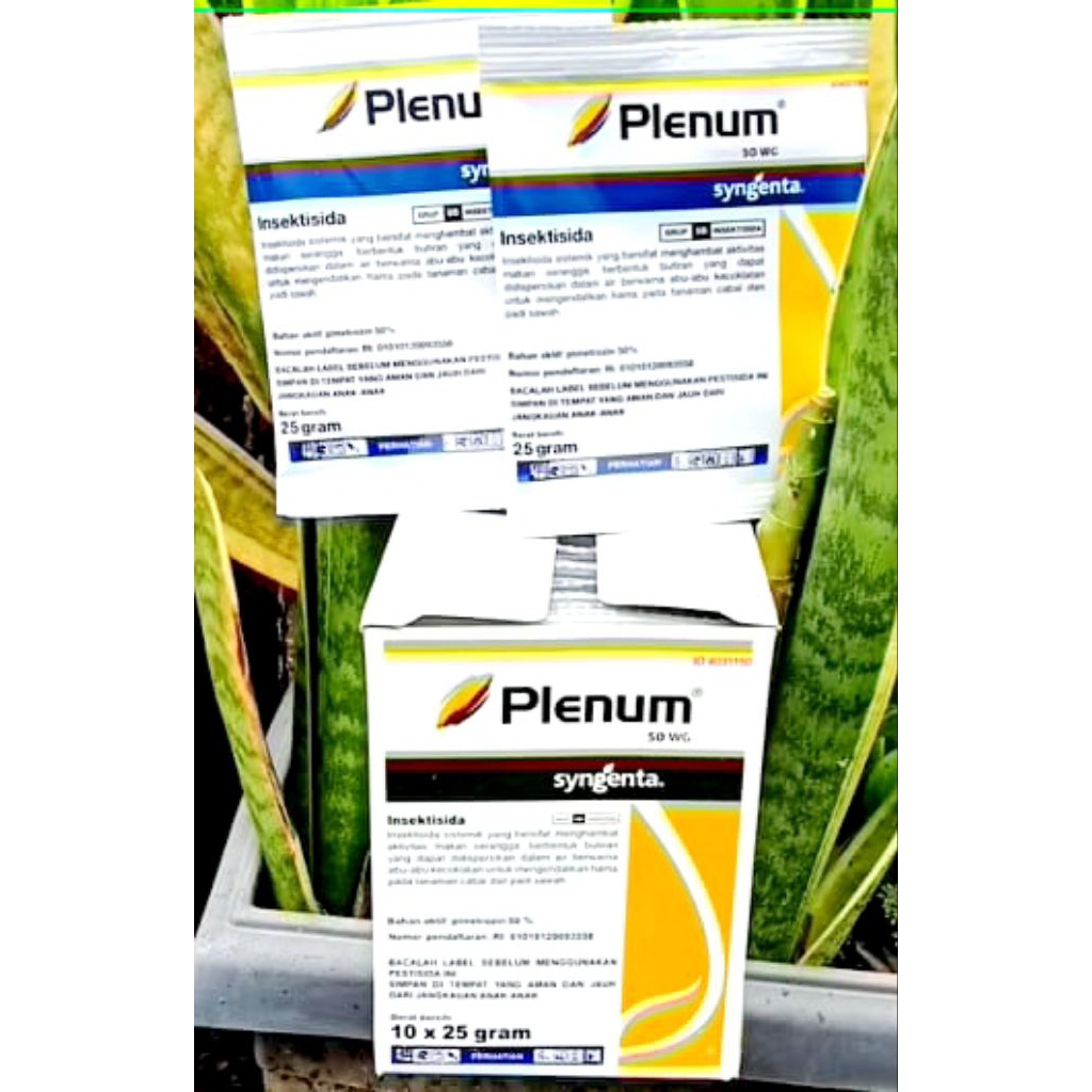 plenum  50 WG 25 gram