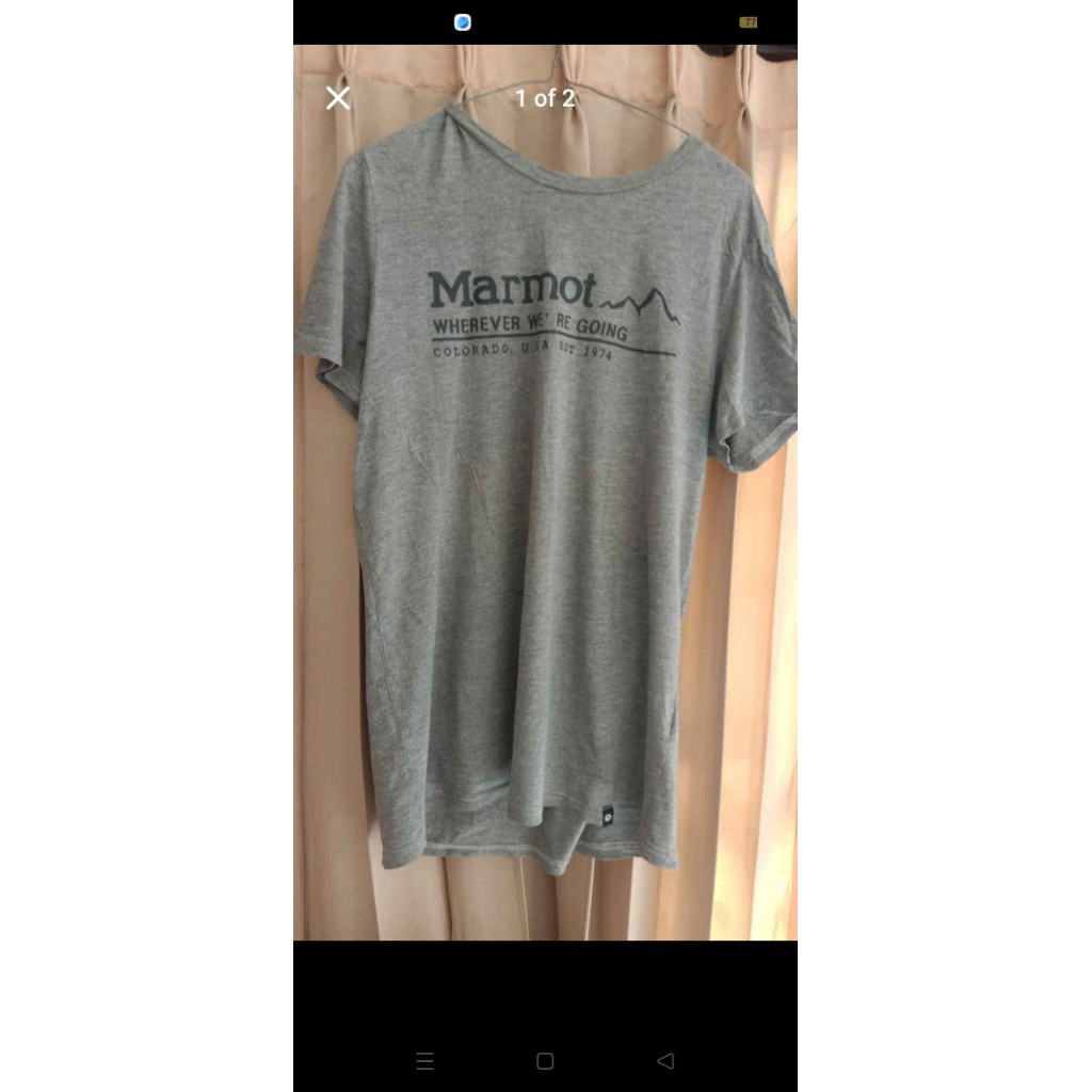 kaos marmot