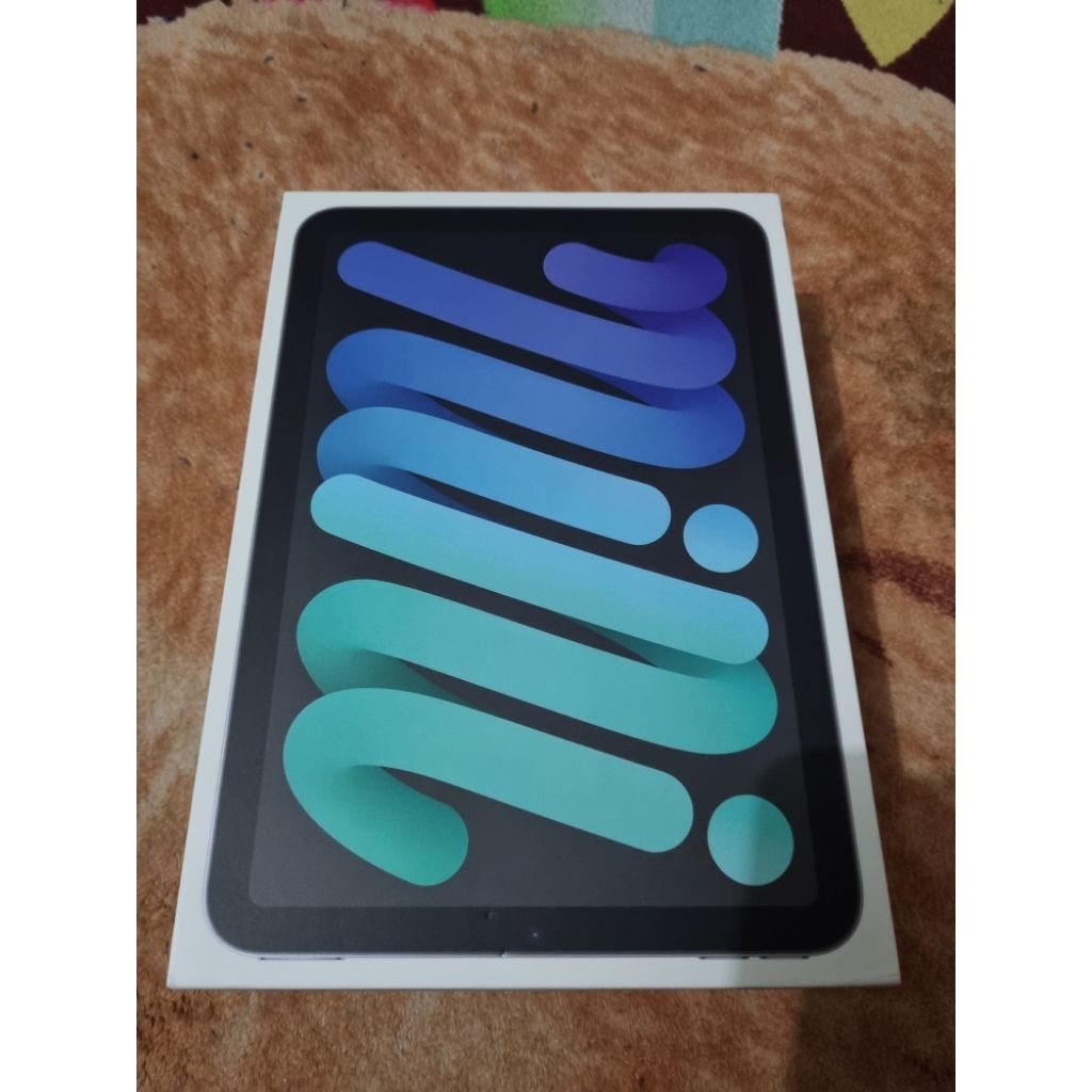 Apple IPad Mini 6, 64 GB wifi only second mulus inter