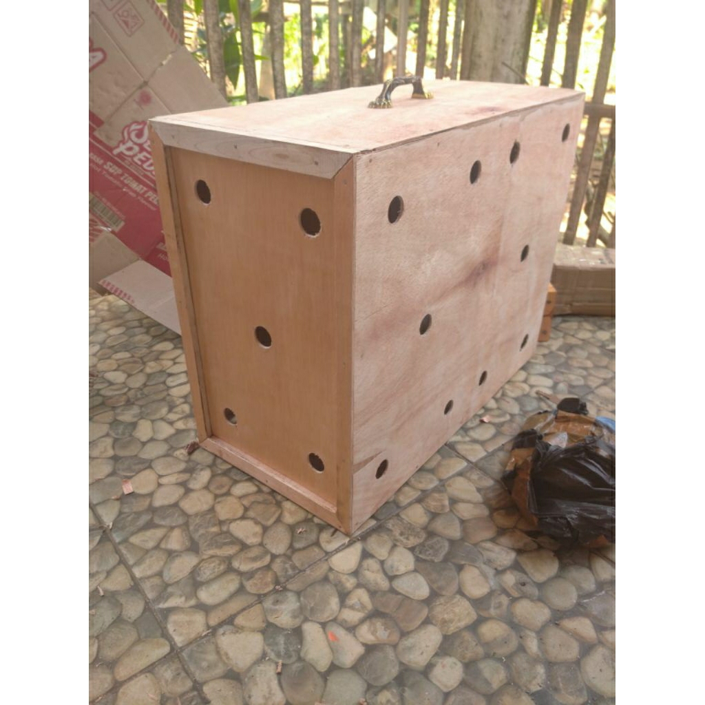 Box Ayam bangkok elegan 50x25x40